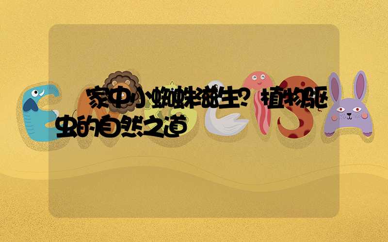  家中小蜘蛛滋生？植物驱虫的自然之道